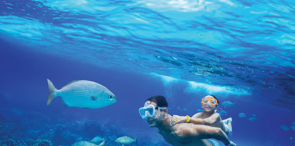 South Pacific swimming